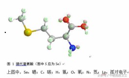 蛋氨酸硒（酵母硒和蛋氨酸硒的特點與優劣比較）