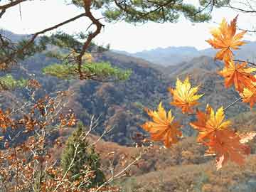 杭州宋城